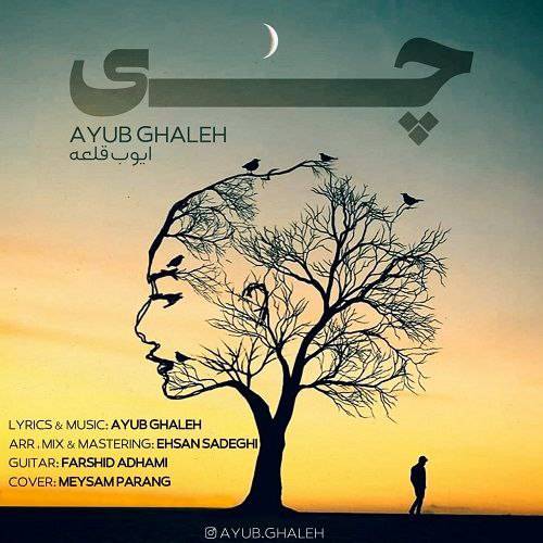 ایوب قلعه چی بغض و گیرم نوای نگرد